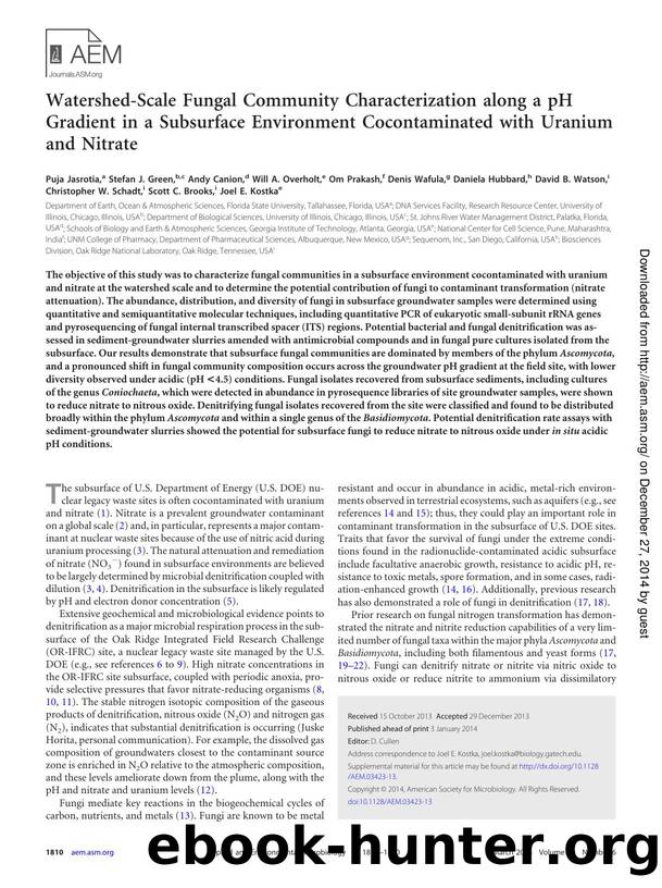 1810-1820 by Unknown