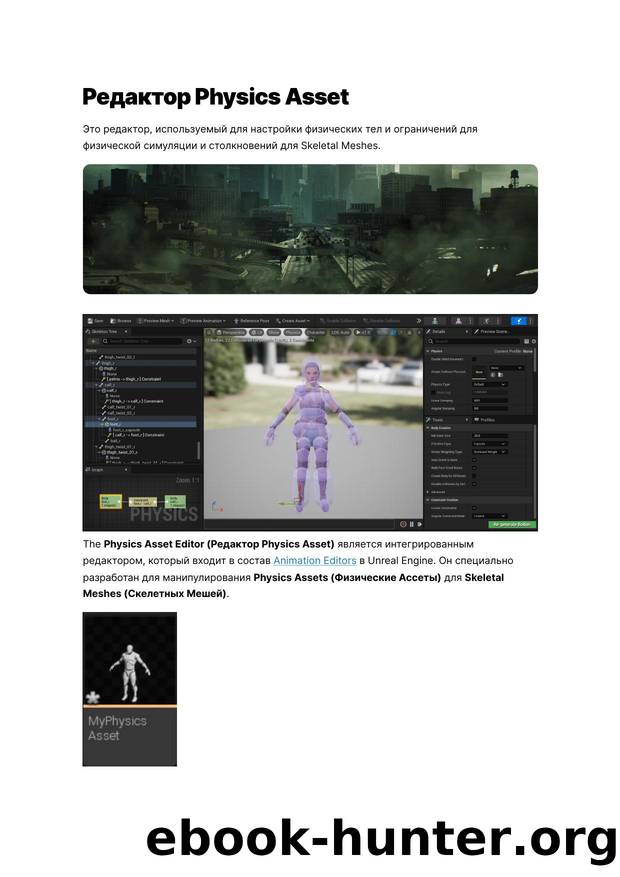 182 Physics Asset Editor by Unknown