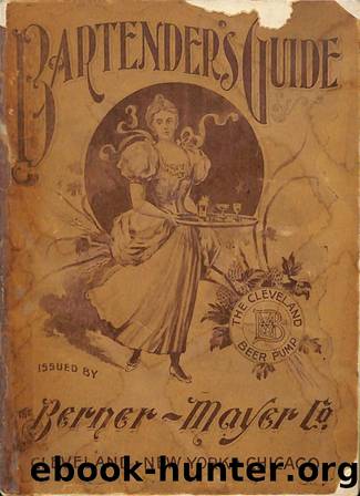 1895  Bartender's Guide by Berner-Mayer Co by Unknown