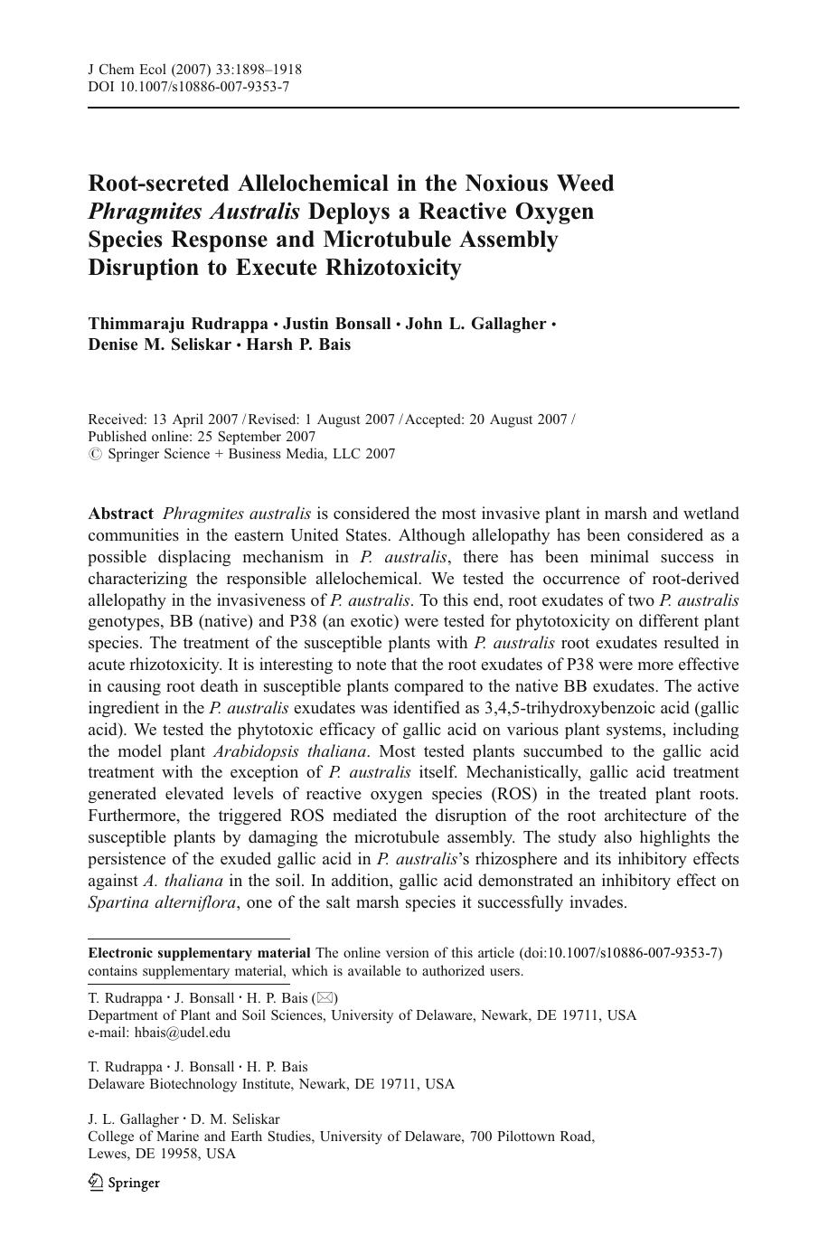 1898-1918 by Unknown