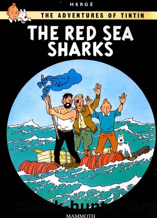 19 - The Red Sea Sharks by KCC