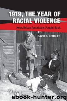 1919, The Year of Racial Violence: How African Americans Fought Back by David F. Krugler