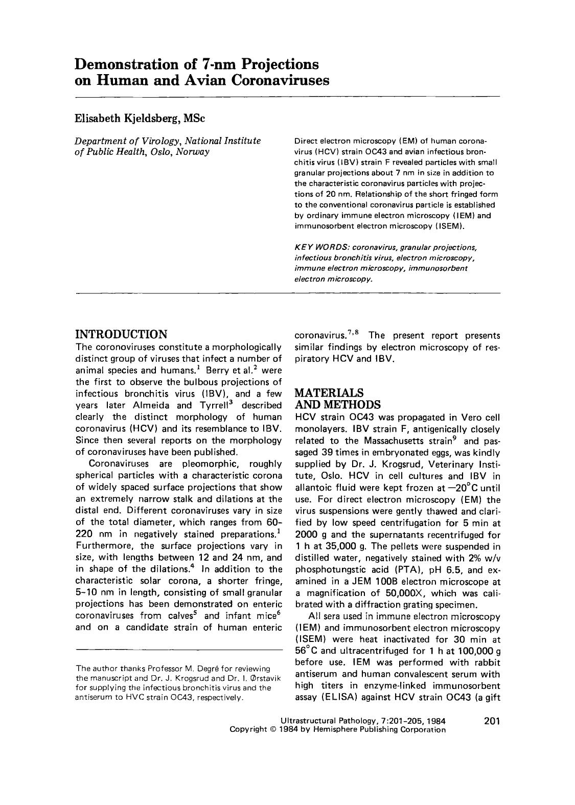 1984 Demonstration of 7 nm Projections on Human and Avian Coronaviruses by Unknown