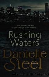 2 Danielle Steel Books! 1) Finding Ashley 2) Rushing Waters by Steel Danielle