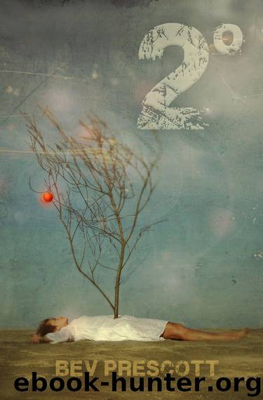 2 Degrees by Bev Prescott