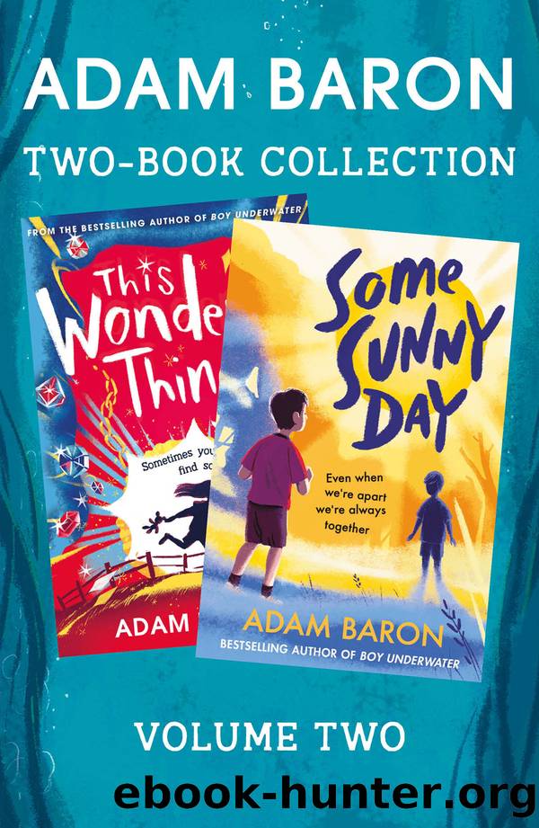 2-BOOK COLLECTION, VOLUME 2: This Wonderful Thing, Some Sunny Day by Adam Baron