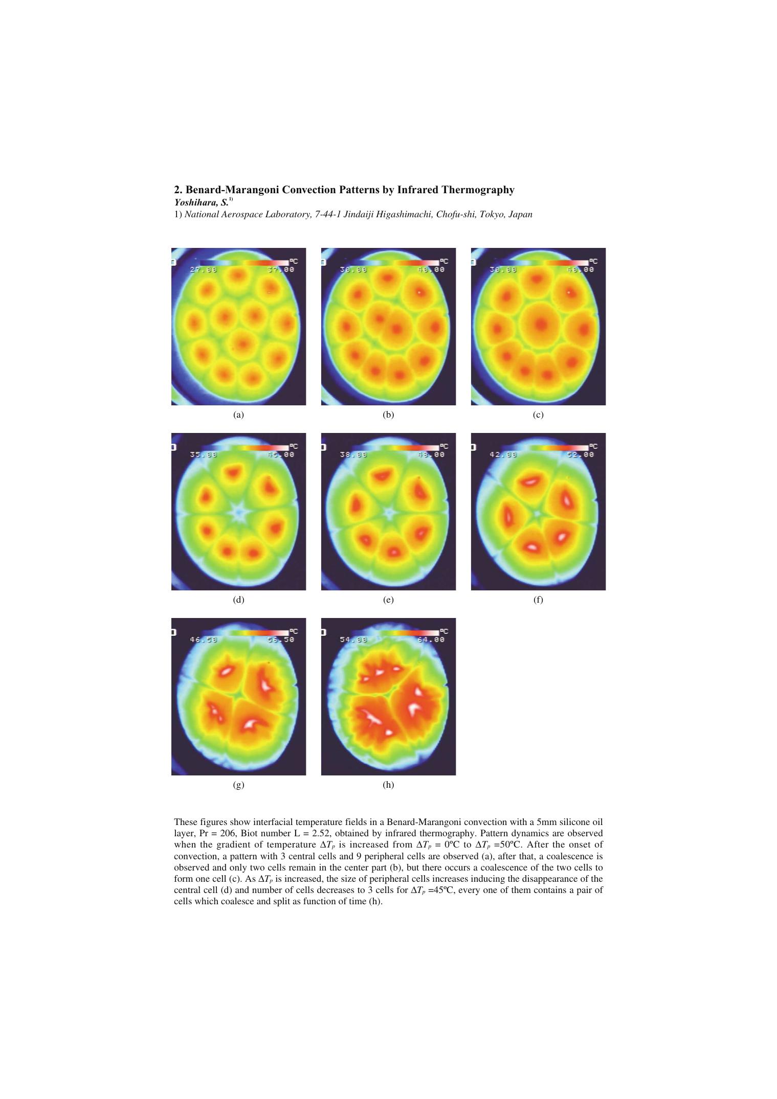 2. Benard-Marangoni convection patterns by infrared thermography by Unknown