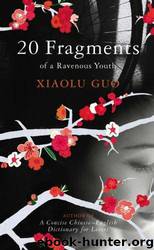 20 Fragments Of A Ravenous Youth by Xiaolu Guo