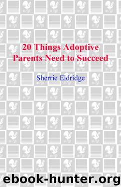 20 Things Adoptive Parents Need to Succeed by Sherrie Eldridge