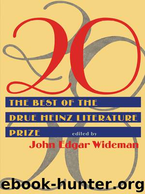 20 by John Edgar Wideman