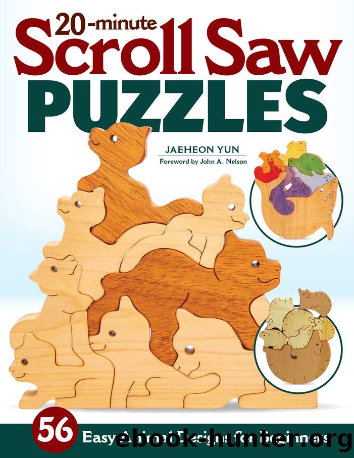 20-Minute Scroll Saw Puzzles by Jaeheon Yun