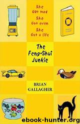 2000 - The Feng-Shui Junkie by Brian Gallagher