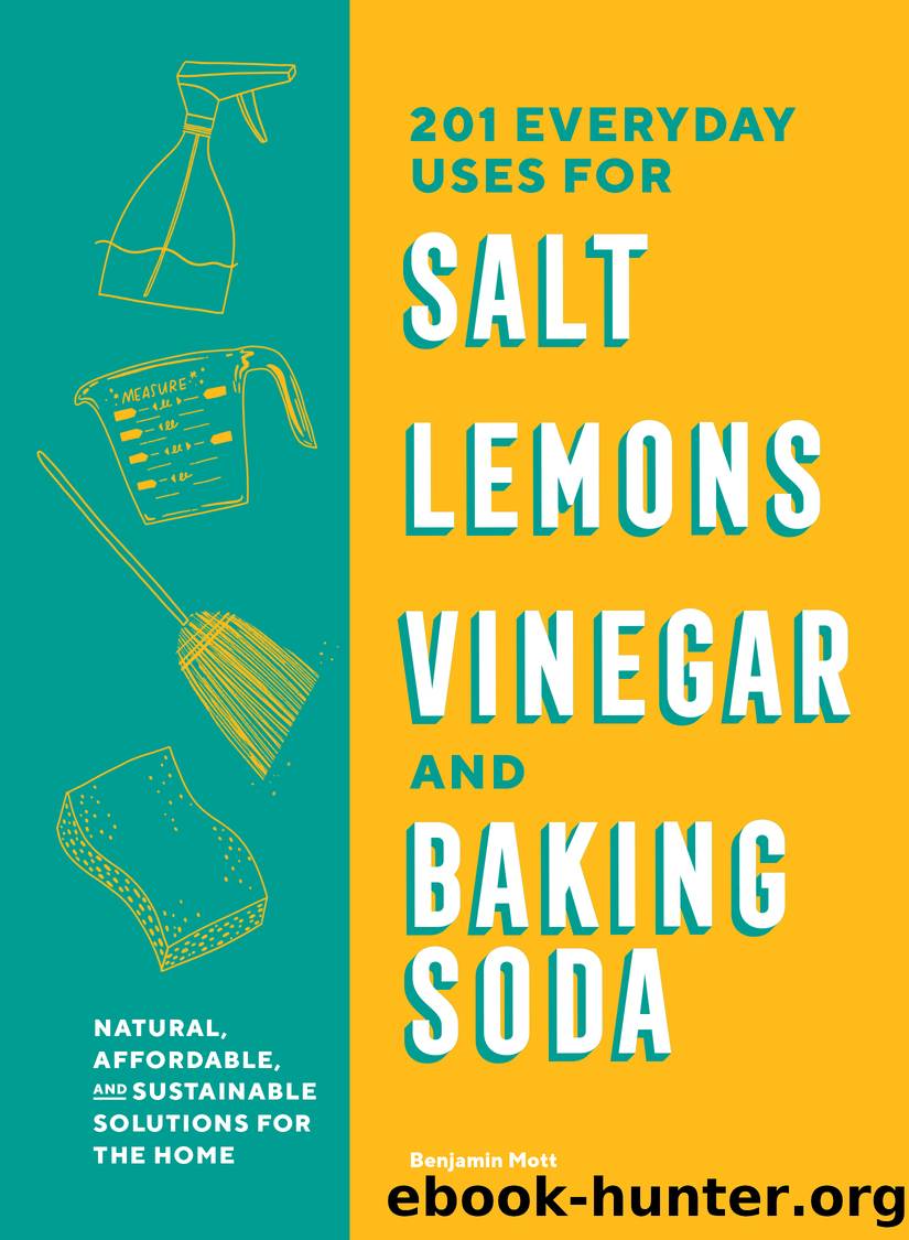 201 Everyday Uses for Salt, Lemons, Vinegar, and Baking Soda by Benjamin Mott