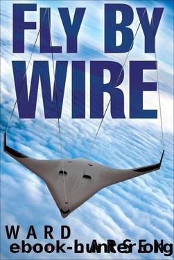 2010 - Fly By Wire by Ward Larsen