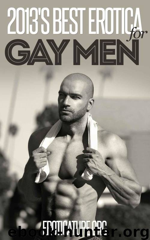 2013's Best Erotica for Gay Men: Sex Tales of All Stripes for Folks of All Types by J. T. Washington & Curtis Kingsmith & Delmar Wilson & Randall Eisenhorn & Ethan Scarsdale & Phillip J. Handelson & Hector Bugarro & Calvin Freeman & Dusty Richols & Bubba Marshall