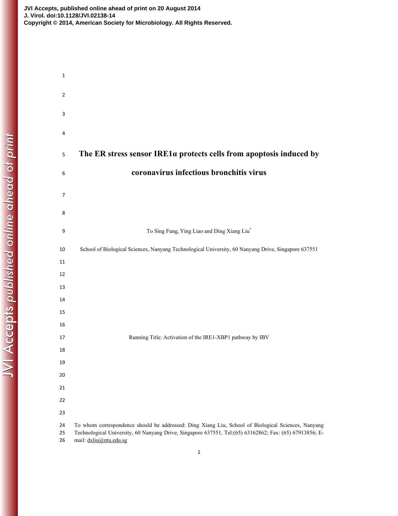 2014 The Endoplasmic Reticulum Stress Sensor IRE1 Protects Cells from Apoptosis Induced by the Coronavirus Infectious B by Unknown