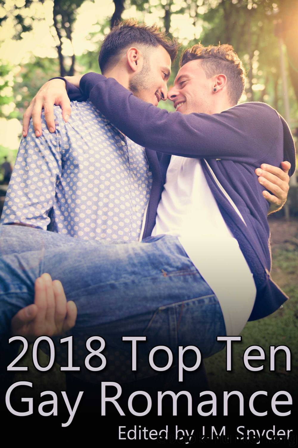2018 Top Ten Gay Romance by J.M. Snyder