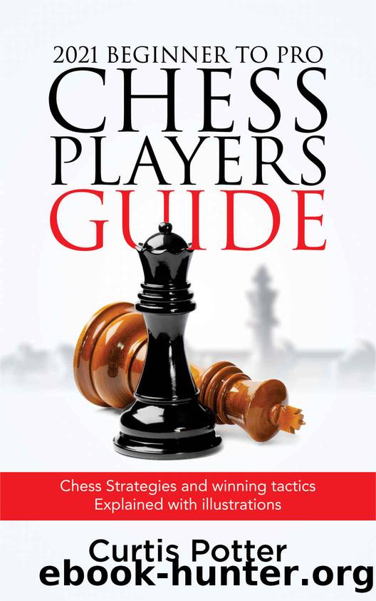 2021 Beginner to Pro Chess Players Guide : Chess Strategies and winning tactics Explained with illustrations by Curtis Potter & Curtis Potter