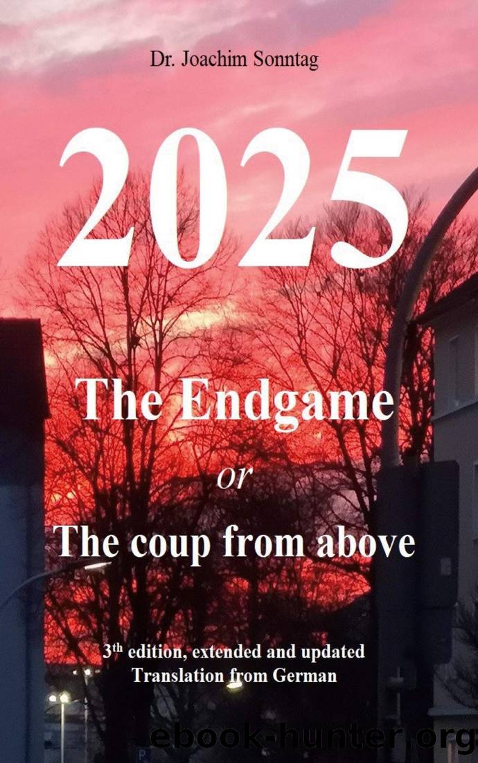 2025 - the Endgame: Or the Coup From Above by Joachim Sonntag