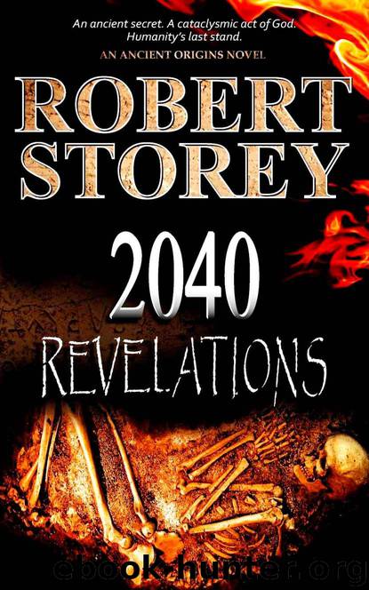 2040 Revelations by Robert Storey