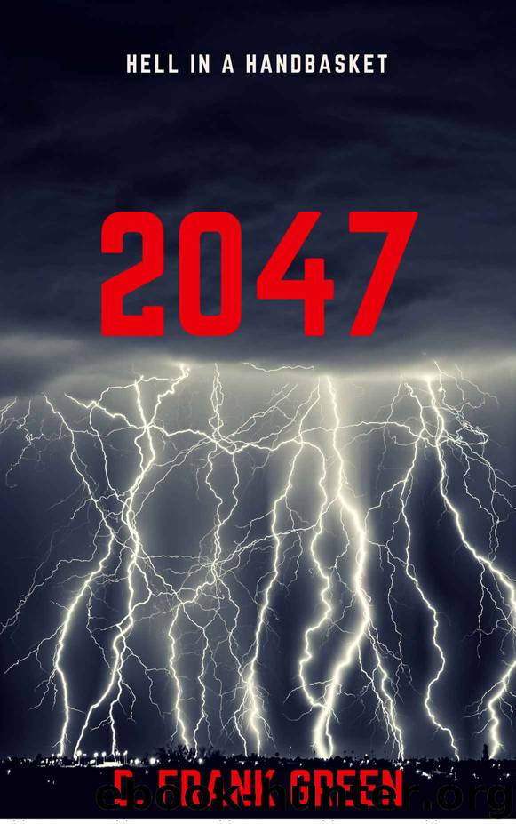 2047: Hell In A Handbasket by D. Frank Green