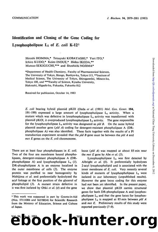 2079-2081 by Unknown