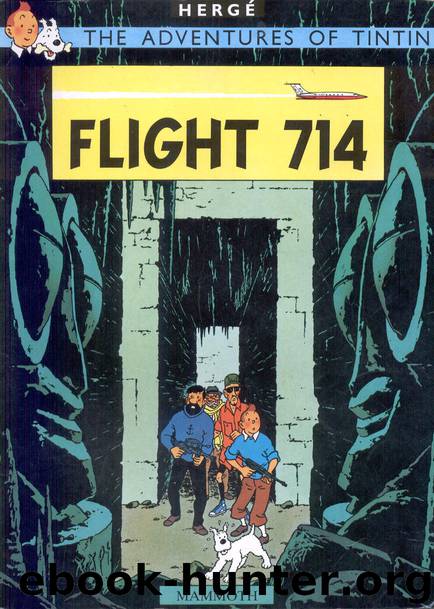 21 TinTin by Flight 714