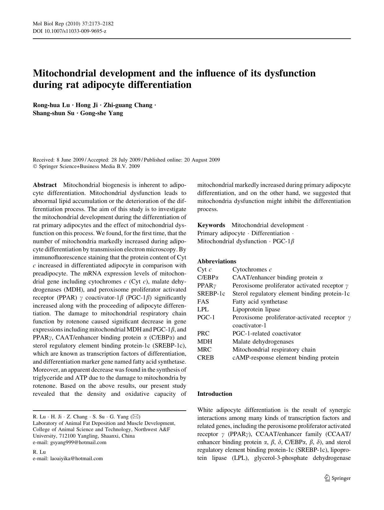 2173-2182 by Unknown