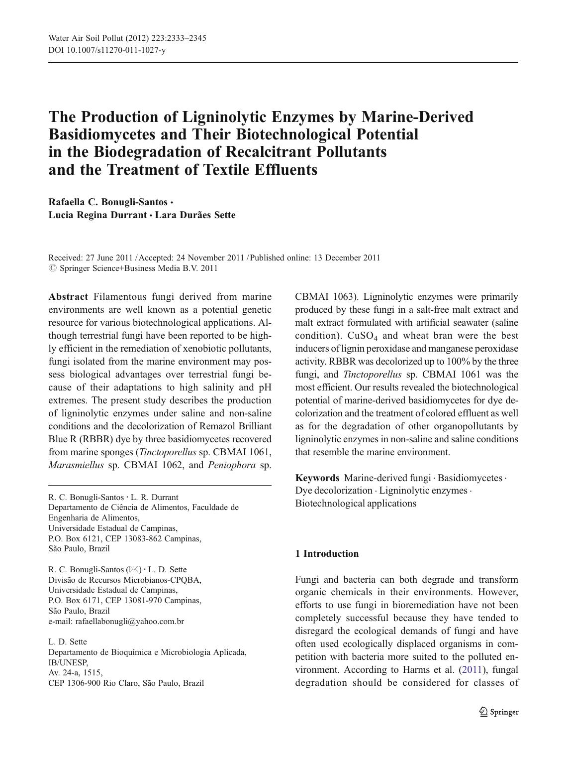 2333-2345 by Unknown