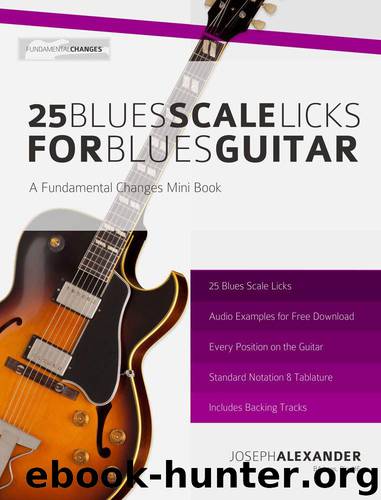 25 Blues Scale Licks for Blues Guitar by Alexander Joseph