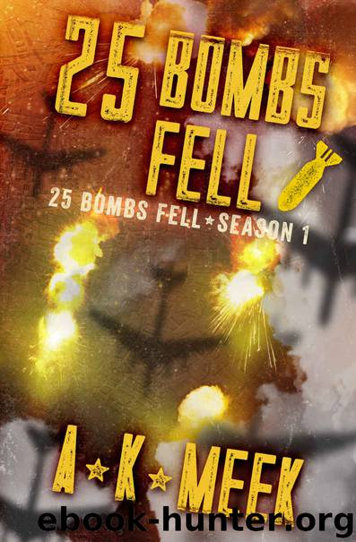 25 Bombs Fell: A Post-Apocalyptic EMP Survival Series, 25BF Season 1 by A.K. Meek