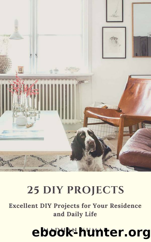 25 DIY Projects: Excellent DIY Projects for Your Residence and Daily Life by MADHAN KUMAR