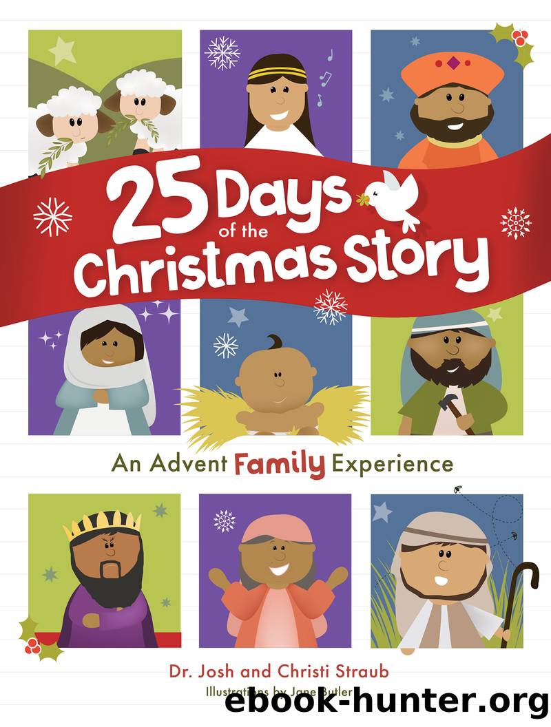 25 Days of the Christmas Story by Josh Straub & Christi Straub & Jane Butler