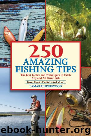 250 Amazing Fishing Tips: The Best Tactics and Techniques to Catch Any and All Game Fish by Lamar Underwood