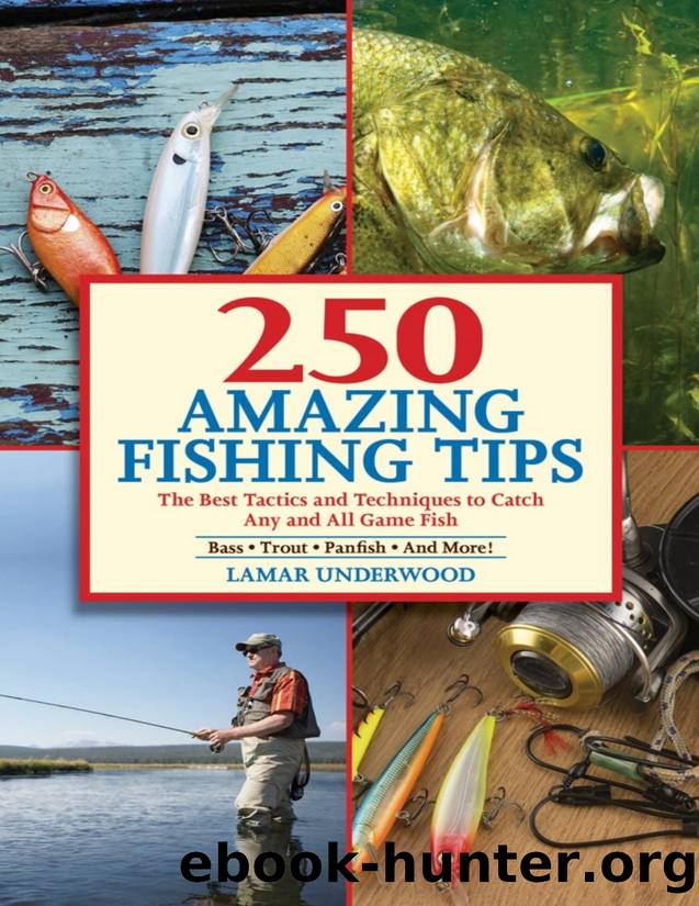 250 amazing fishing tips : the best tactics and techniques to catch any and all game fish : bass, trout, panfish and more! - PDFDrive.com by Lamar Underwood