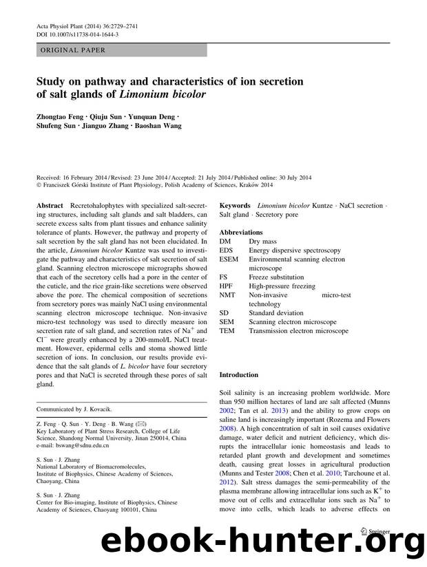 2729-2741 by Unknown