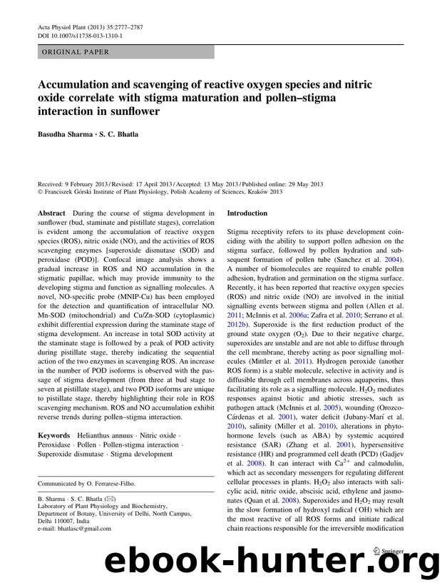 2777-2787 by Unknown