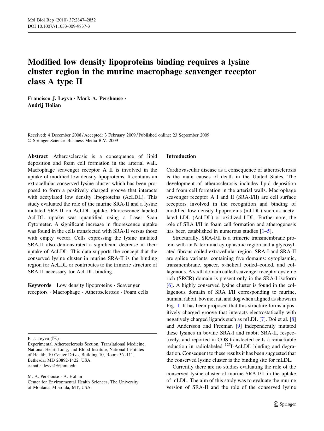 2847-2852 by Unknown