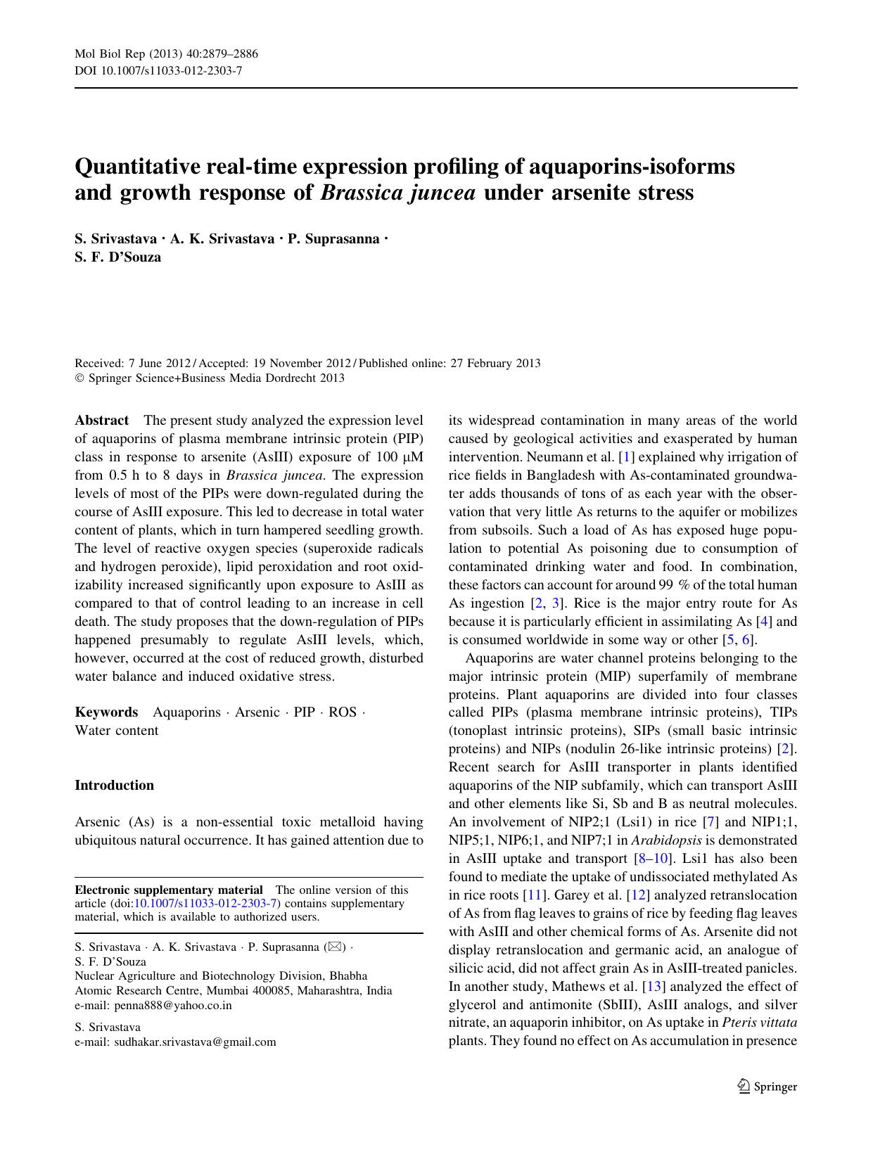 2879-2886 by Unknown