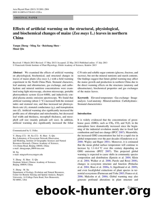 2891-2904 by Unknown