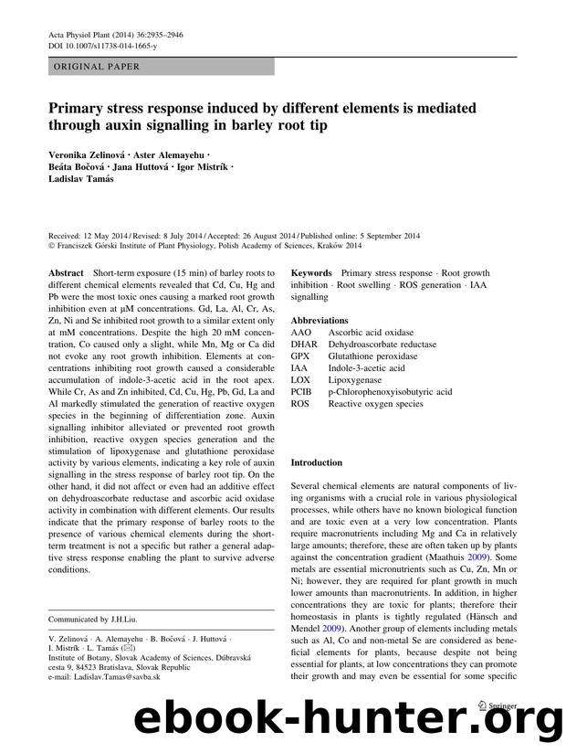 2935-2946 by Unknown