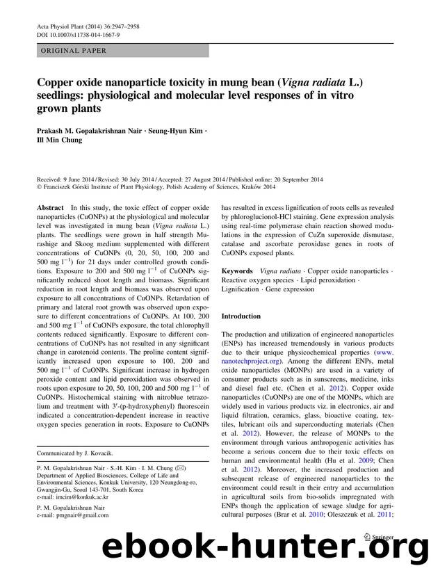 2947-2958 by Unknown