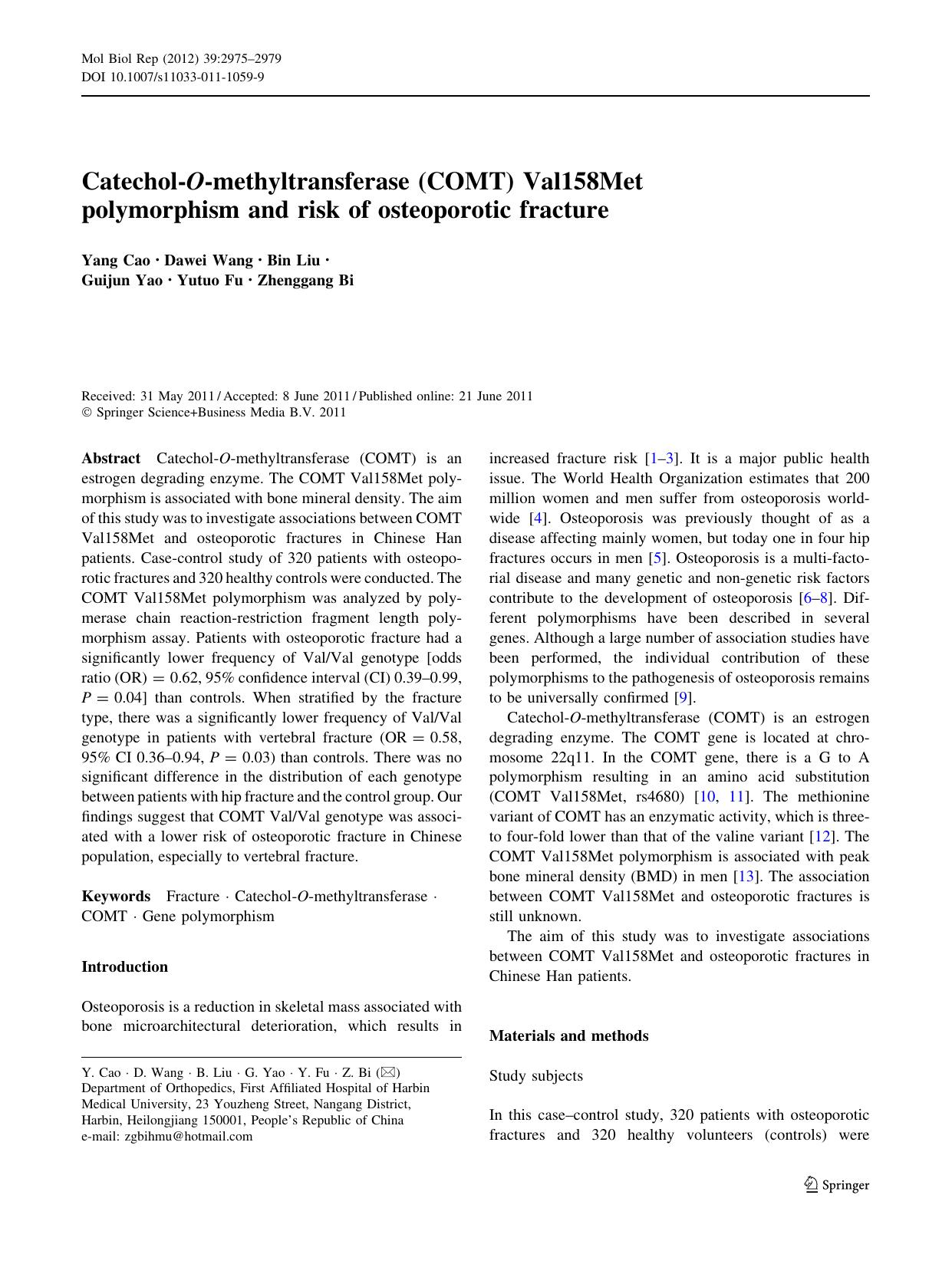 2975-2979 by Unknown