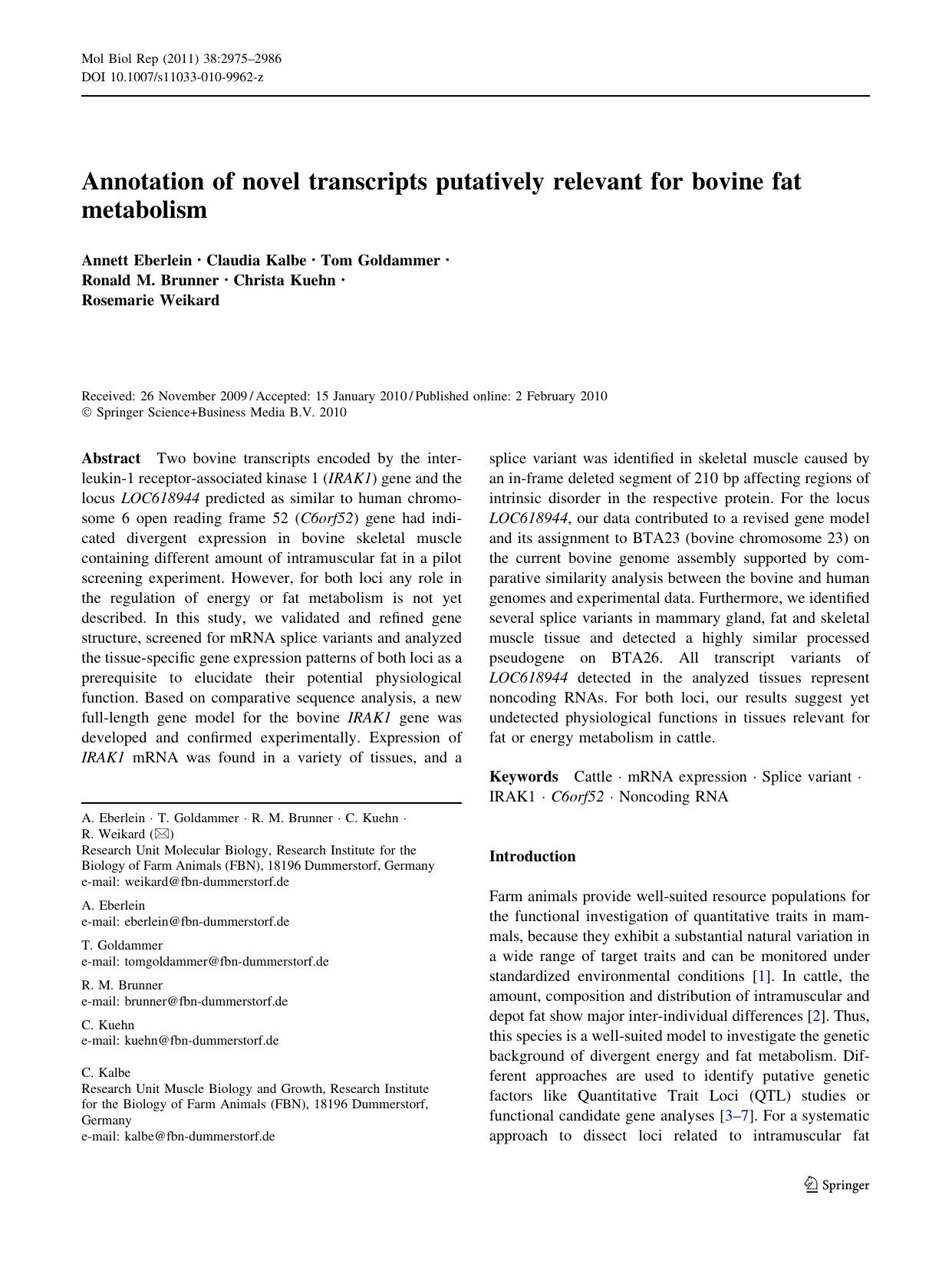 2975-2986 by Unknown