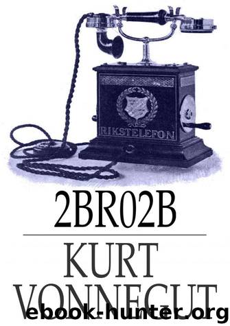 2BR02B by Kurt Vonnegut
