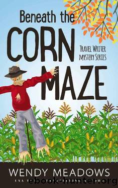 3 - Beneath the Corn Maze by Wendy Meadows