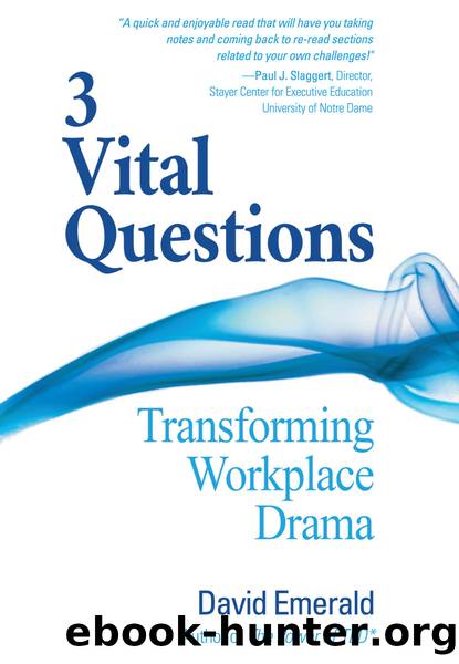3 Vital Questions by Emerald David;