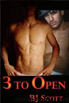 3 to Open by B.J. Scott