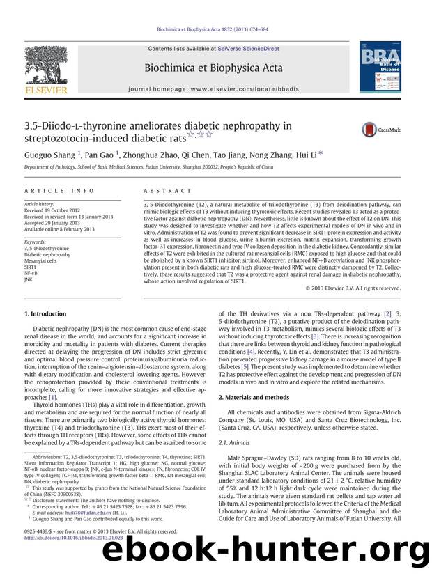 3,5-Diiodo-l-thyronine ameliorates diabetic nephropathy in streptozotocin-induced diabetic rats by Guoguo Shang & Pan Gao & Zhonghua Zhao & Qi Chen & Tao Jiang & Nong Zhang & Hui Li