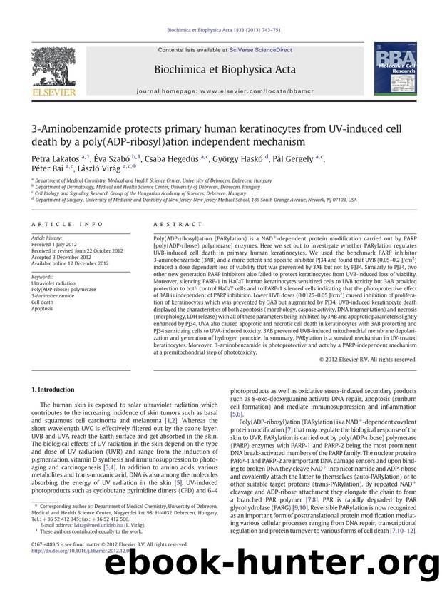 3-Aminobenzamide protects primary human keratinocytes from UV-induced cell death by a poly(ADP-ribosyl)ation independent mechanism by unknow